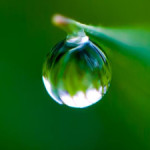 droplet-of-water-300-x-225